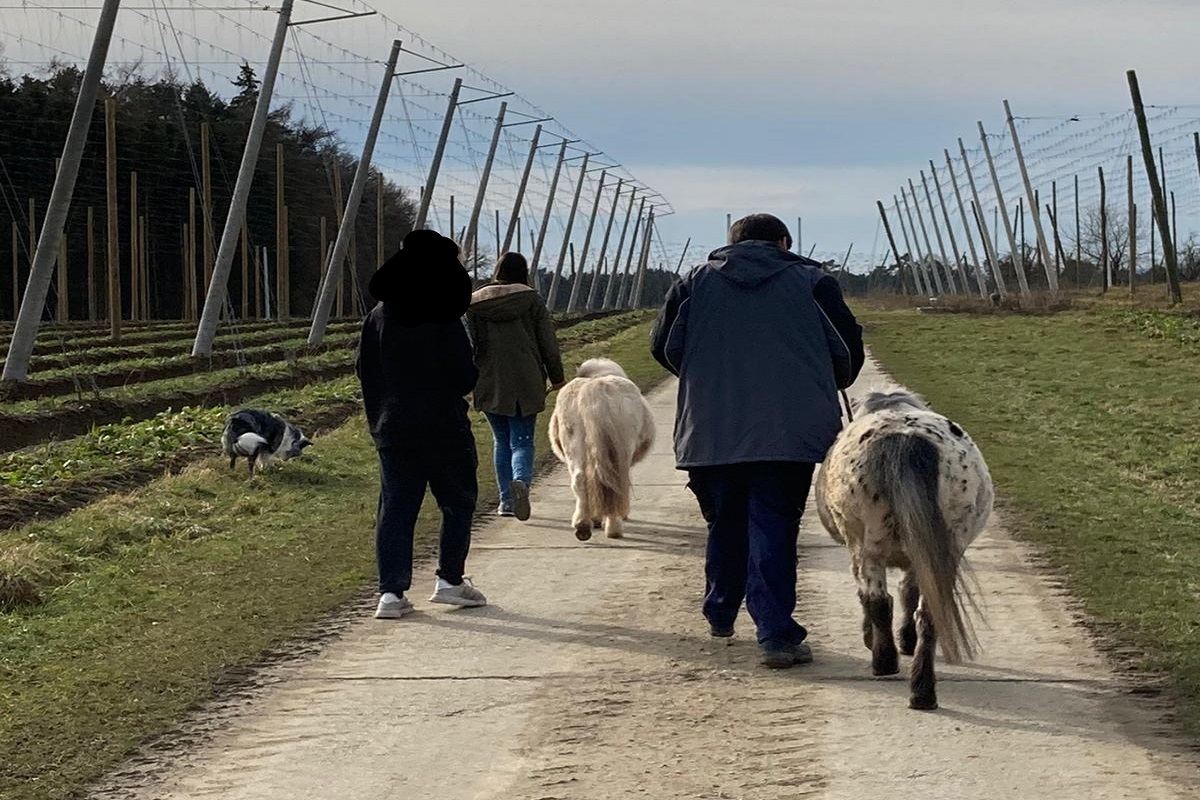 Tiergestützte intensivpädagogische  Wohngruppe